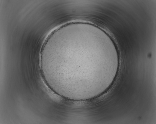 X0000115710988200912241540