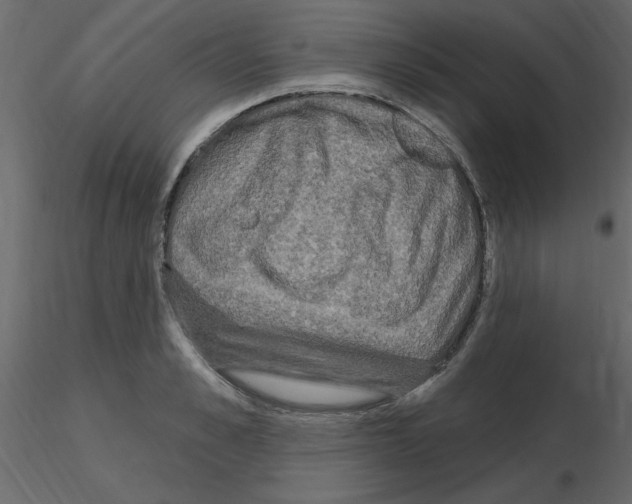 X0000115710989200912241540