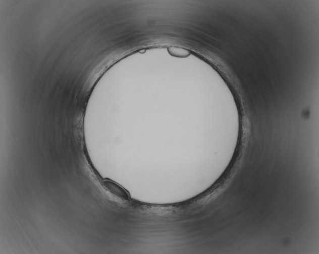 X0000115710993200912241540