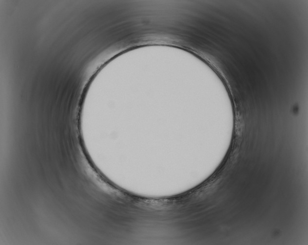 X0000115710995200912241540