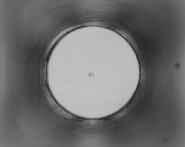 X0000115711000200912241540