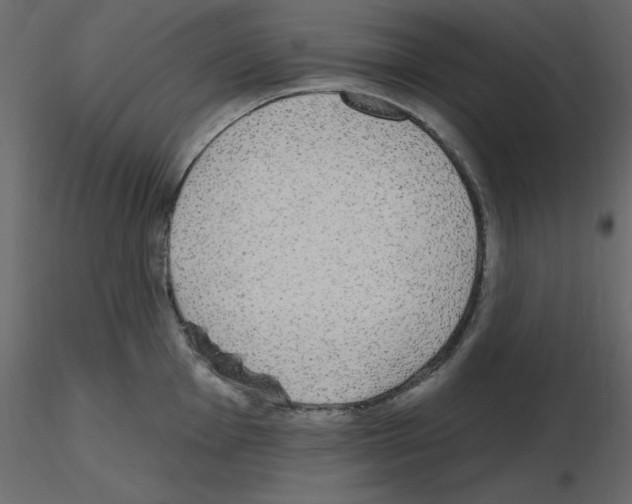 X0000115711001200912241540