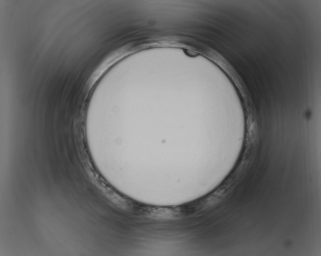 X0000115711002200912241540