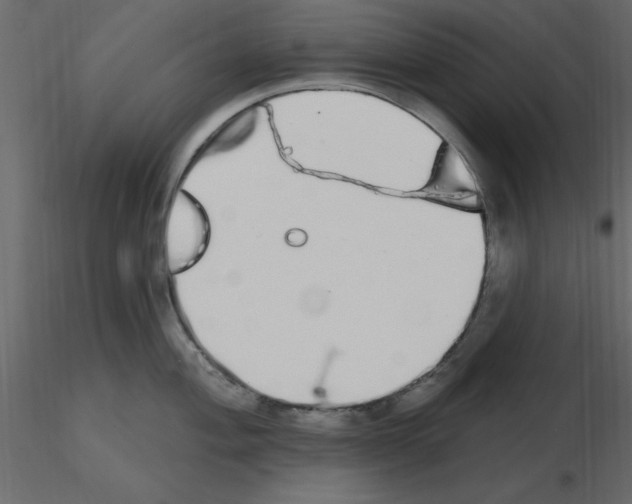 X0000115711004200912241540