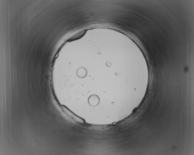 X0000115711005200912241540