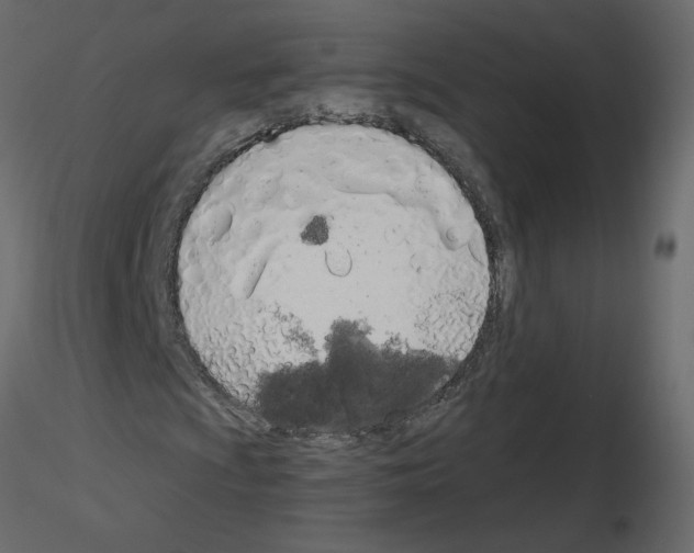 X0000115711009200912241539