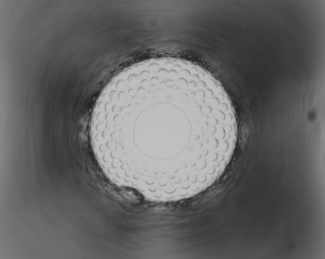 X0000115711010200912241539