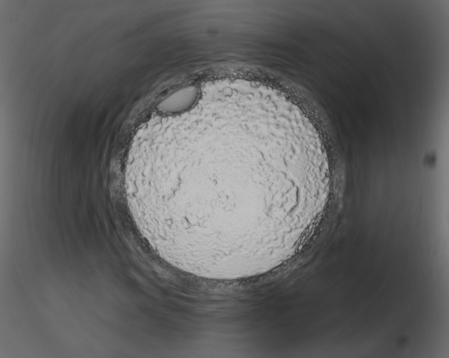 X0000115711011200912241539