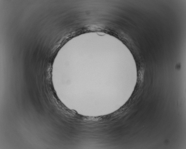 X0000115711012200912241539