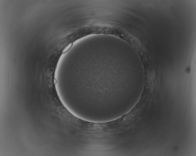 X0000115711013200912241539