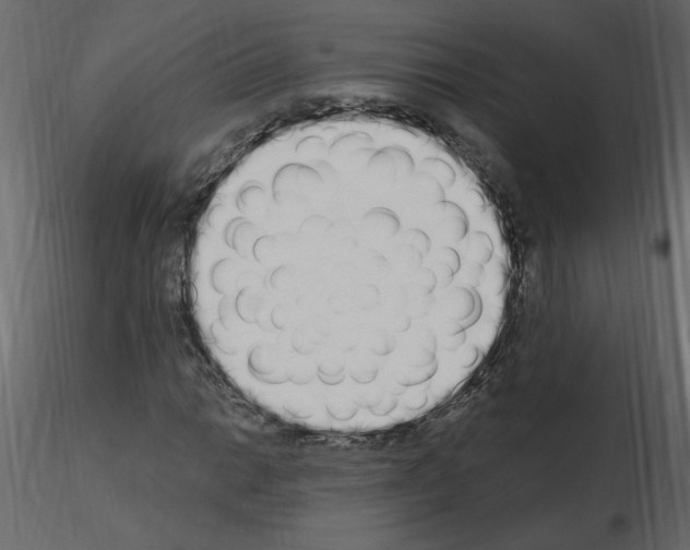 X0000115711014200912241539