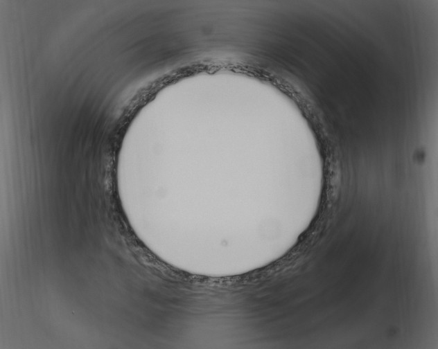 X0000115711016200912241539