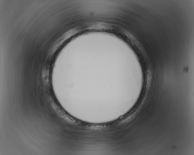 X0000115711017200912241539