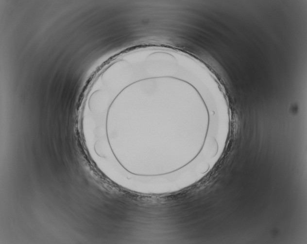 X0000115711020200912241539