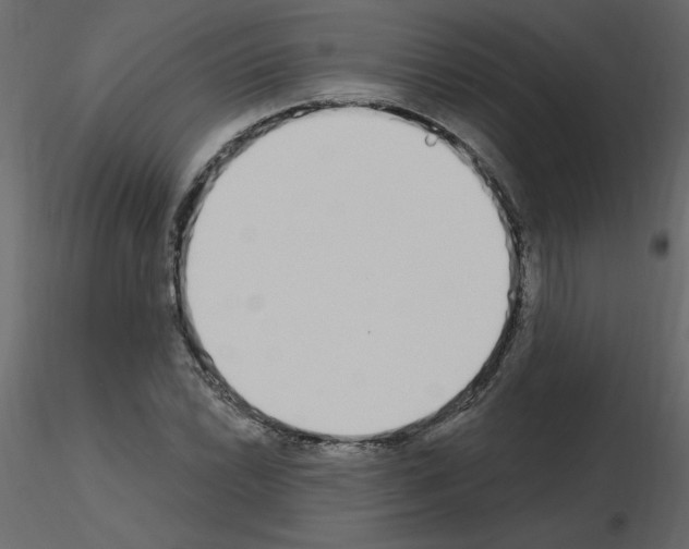 X0000115711022200912241539