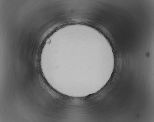 X0000115711023200912241539