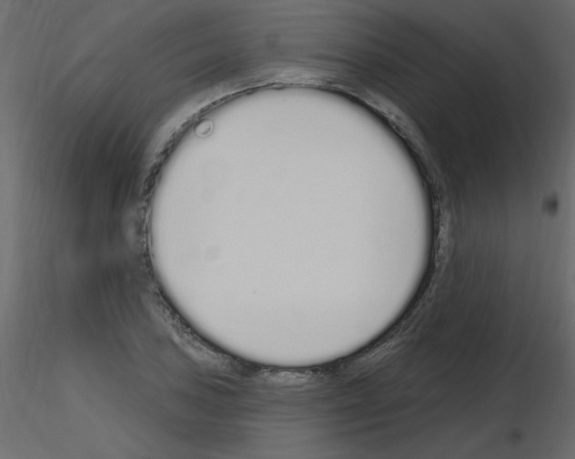 X0000115711027200912241539