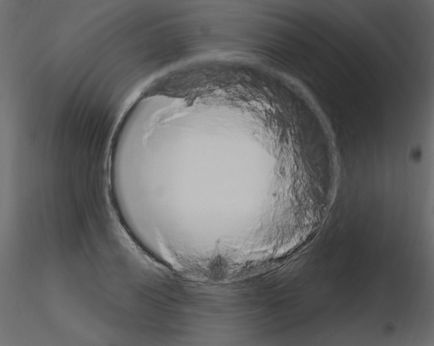 X0000115711028200912241539