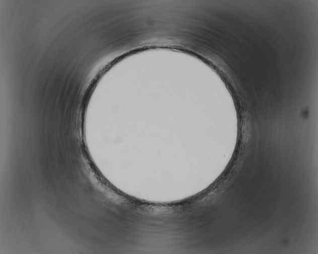 X0000115711030200912241539