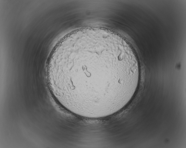 X0000115711031200912241539