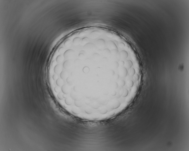 X0000115711032200912241539