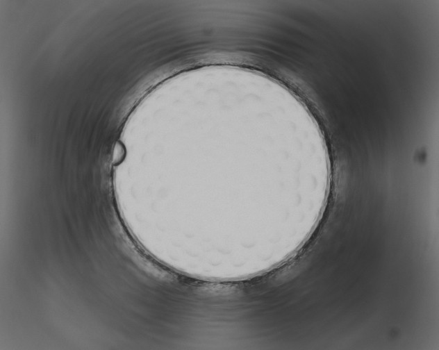 X0000115711033200912241539