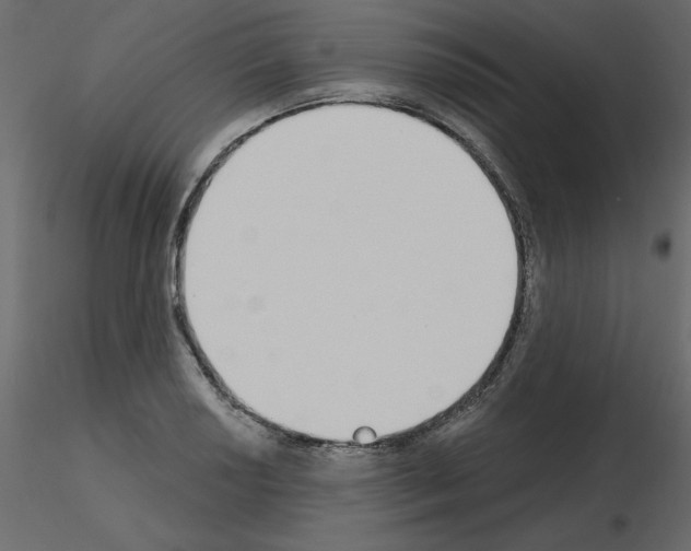 X0000115711034200912241539