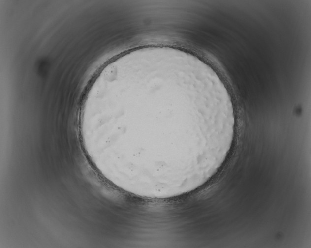 X0000115711035200912241539