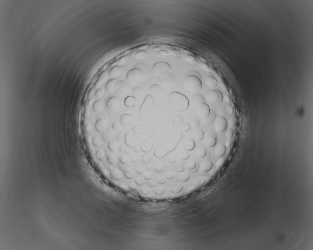 X0000115711036200912241539