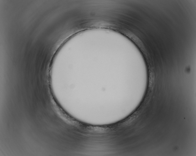 X0000115711039200912241539