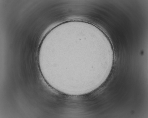 X0000115711045200912241539