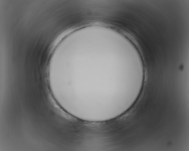 X0000115711048200912241539