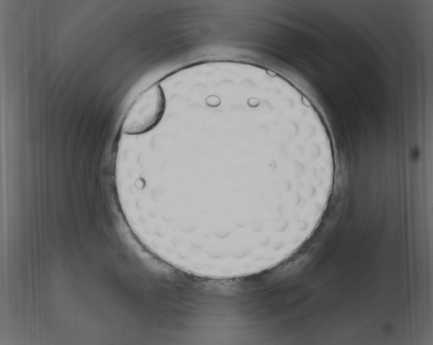 X0000115711053200912241540