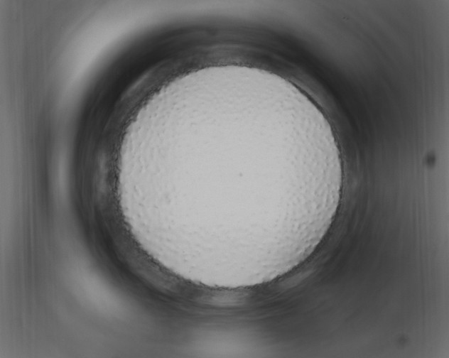 X0000115711055200912241540