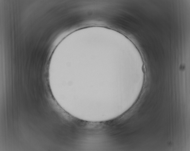 X0000115711056200912241540