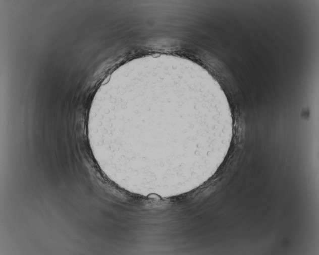 X0000115711058200912241539