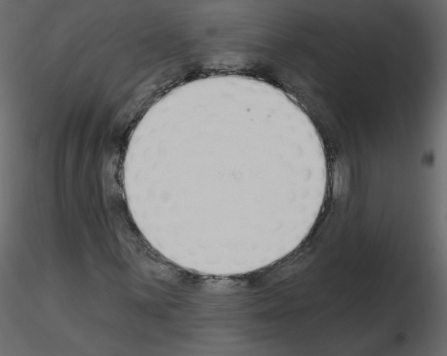 X0000115711059200912241539