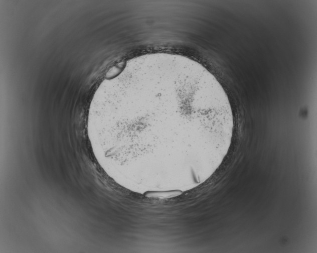 X0000115711060200912241539