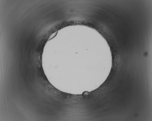 X0000115711062200912241539