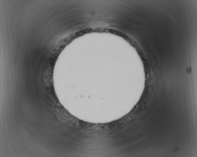 X0000115711063200912241539