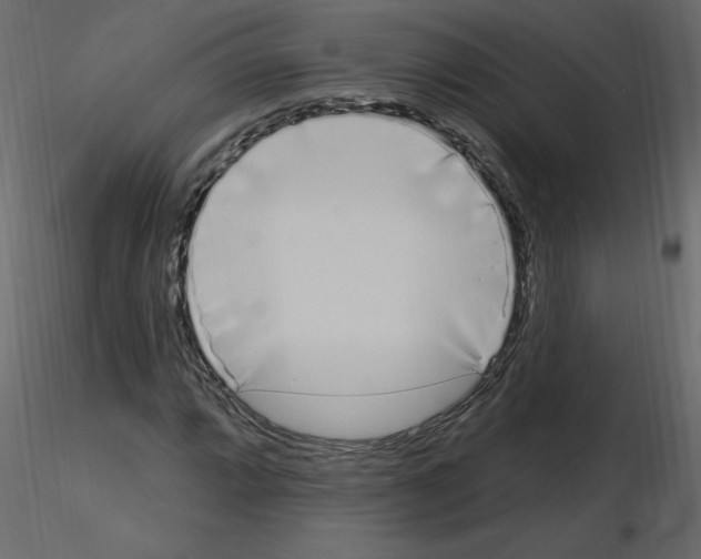 X0000115711064200912241539