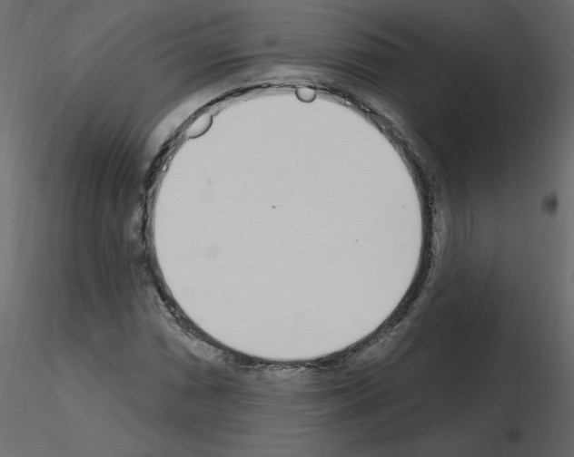 X0000115711066200912241539