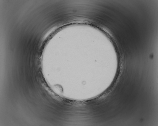 X0000115711067200912241539