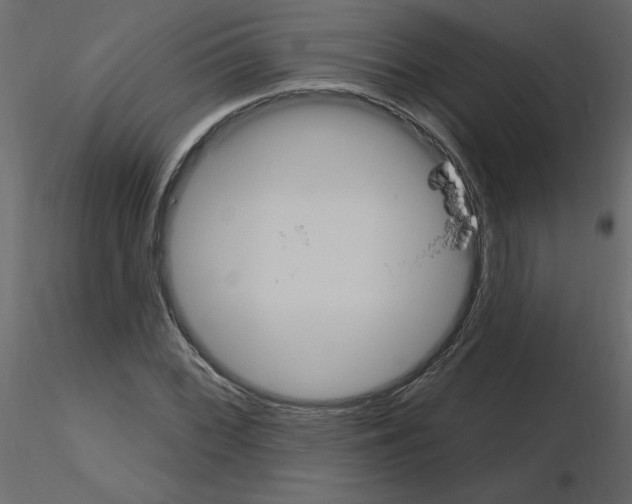 X0000115711068200912241539