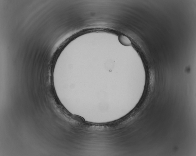 X0000115711069200912241539