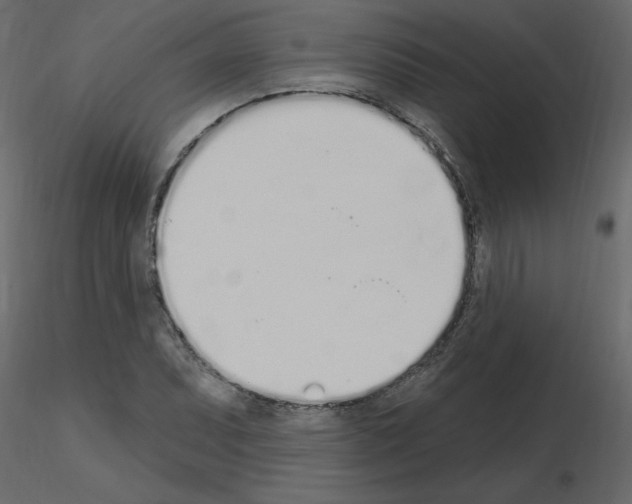 X0000115711071200912241539