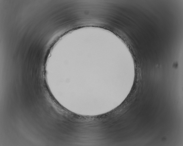 X0000115711072200912241539