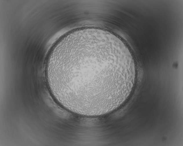 X0000115711074200912241539