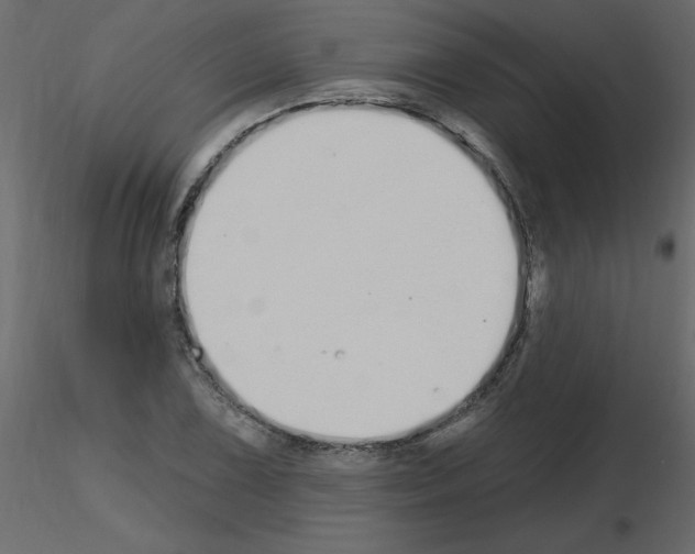 X0000115711075200912241539