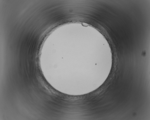 X0000115711076200912241539